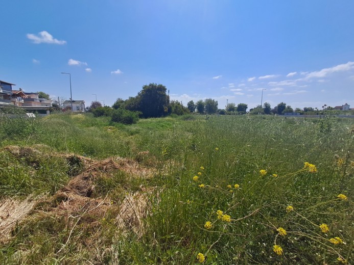 Antalya Serik 2151 M2 Muhtelif Arsa — foto 3