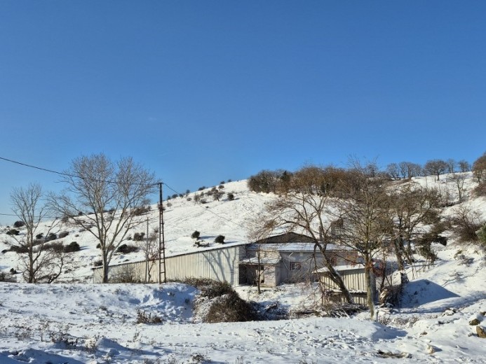 Balıkesir Gönen 2397.00 M2 Koyun Damı Ve 7.456,57 M2 Tarla