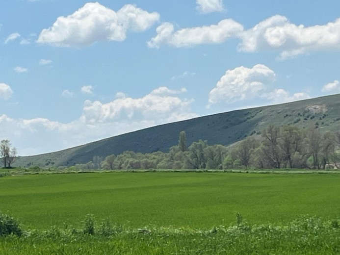 Yozgat Sarıkaya 24039.19 M2 + Tarla — foto 6