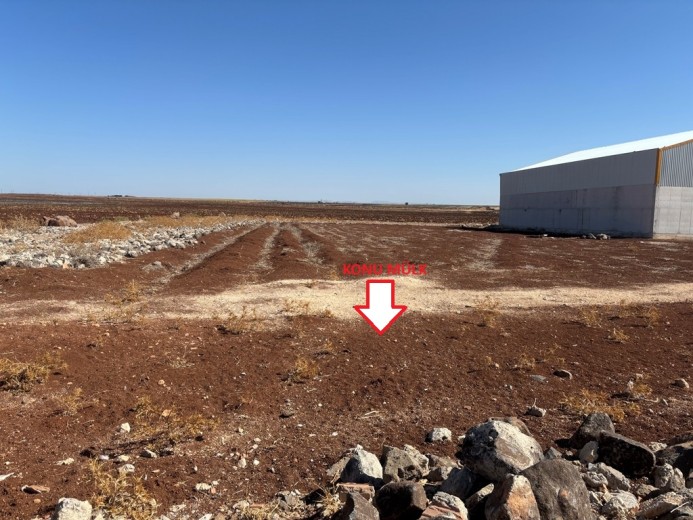 Şanlıurfa Viranşehir  M2 + Muhtelif Arsa — foto 6