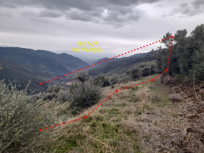 İzmir Bayındır 5422.98 M2 + Bahçe — foto 6