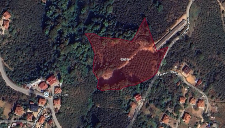 Düzce Akçakoca 14.263.94 M2 Fındıklık Bahçe — foto 6