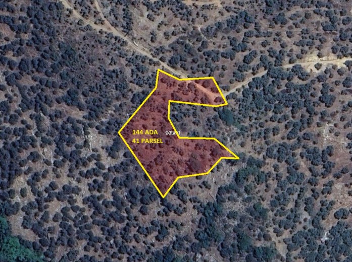 İzmir Bayındır 3352.83 M2 + Zeytinlik
