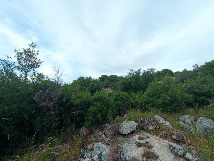 Gaziantep Nizip 43.864,97m2 Bahçe