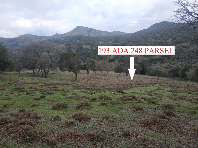 Çanakkale Gökçeada 20626.00 M2 Tarla — foto 3