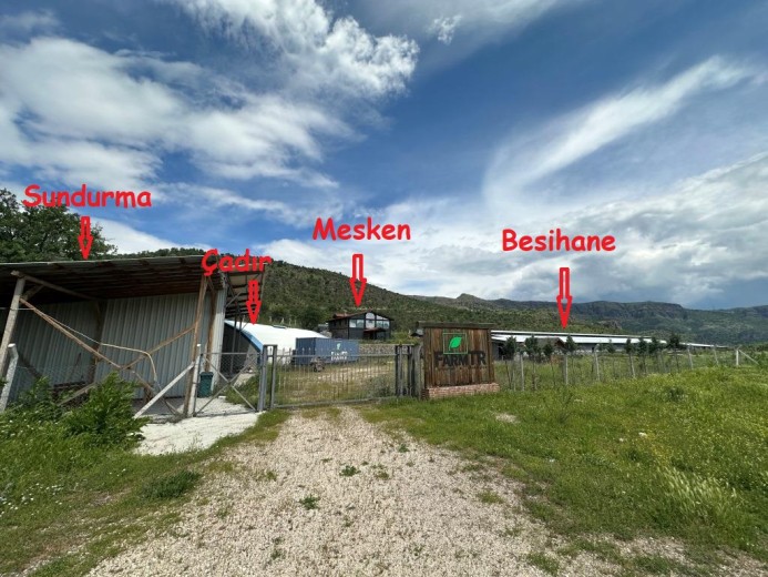 Bolu Seben 2352 M2 Kapalı Alanlı 9212,58 M2 Arazi — foto 9