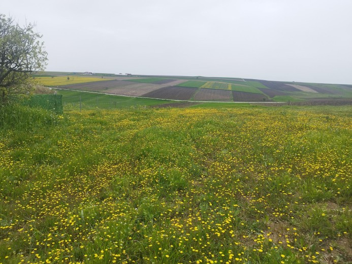 Tekirdağ Ergene 496 M2 + Bağ — foto 4