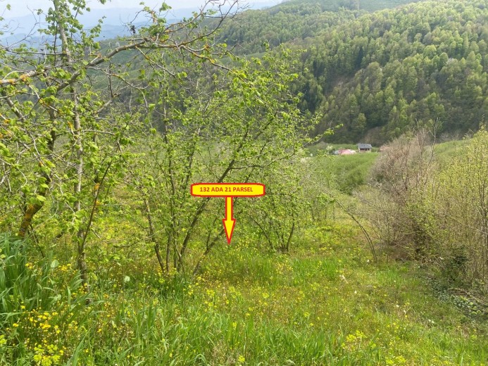 Düzce Cumayeri 12.150 M2 Muhtelif Arsa — foto 5