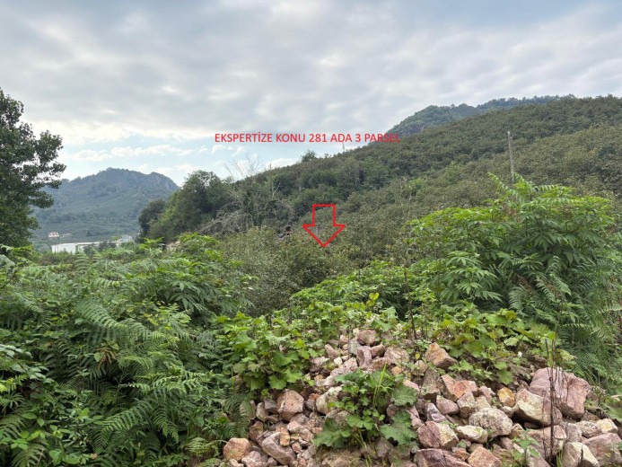 Giresun Tirebolu 7055.15 M2 Muhtelif Arsa — foto 5