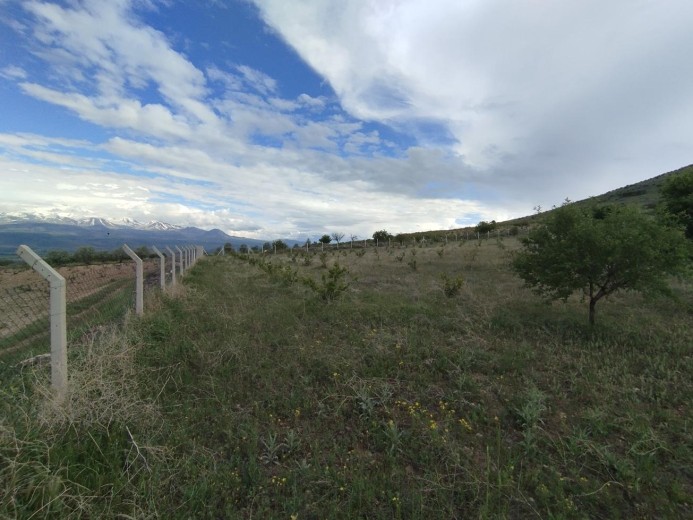 Kayseri İncesu 5124.98 M2 Tarla — foto 2