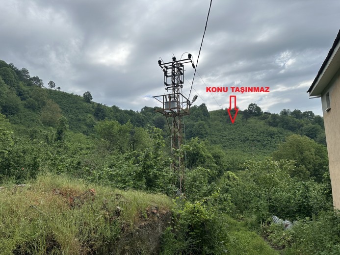Düzce Merkez 6977,23 M2 Tarla — foto 3