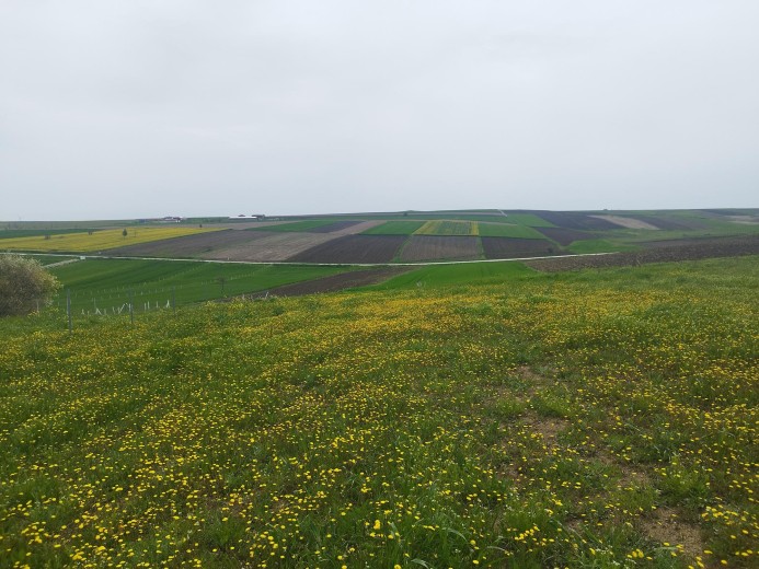 Tekirdağ Ergene 496 M2 + Bağ — foto 5