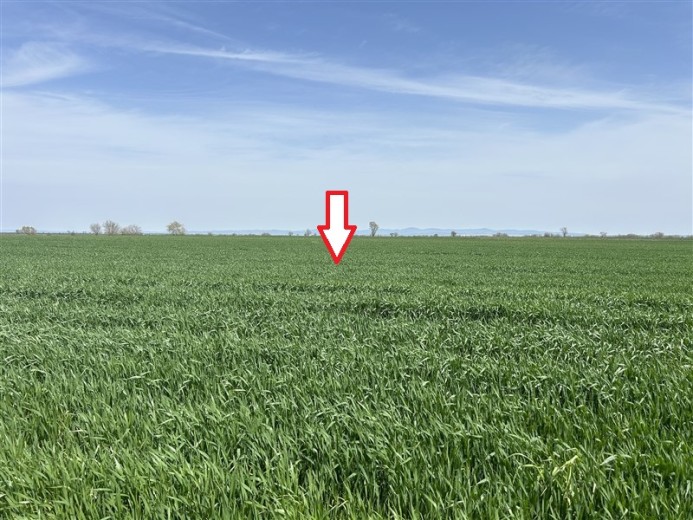 Kırklareli Lüleburgaz 5950.00 M2 Tarla