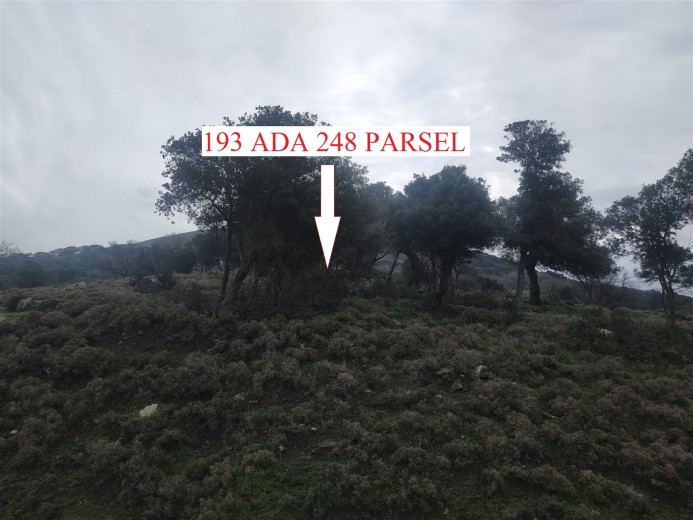 Çanakkale Gökçeada 20626.00 M2 Tarla