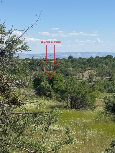Uşak Merkez 4305.10 M2  Tarla — foto 3