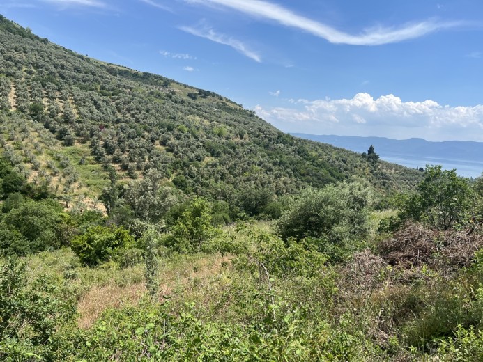 Bursa Orhangazi 5764.44 M2 Tarla — foto 5