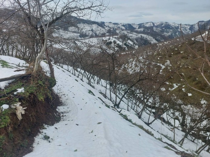 Ordu İkizce 6580,97 M2  Bahçe — foto 6