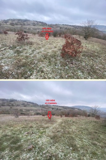 Balıkesir Altıeylül 1770.54 M2 + Tarla — foto 2