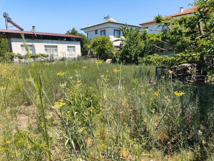 Muğla Dalaman 407,77 M2  Muhtelif Arsa — foto 5
