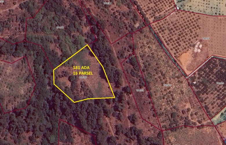 İzmir Bayındır 4050.81 M2 + Bahçe — foto 4