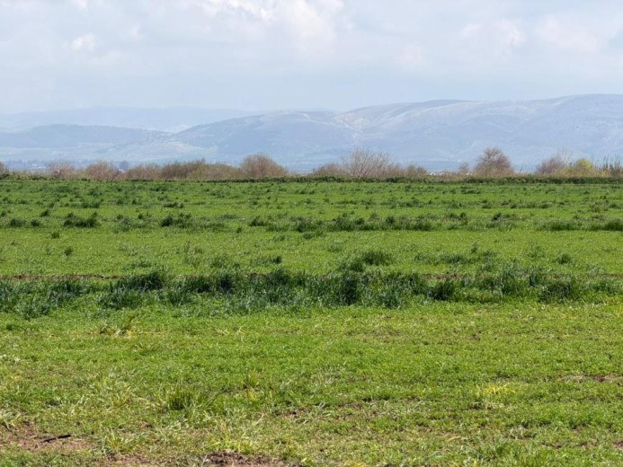Hatay Kırıkhan 75848 M2  Tarla — foto 2