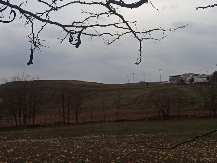 Siirt Kurtalan  1.300m2 Muhtelif Arsa — foto 6