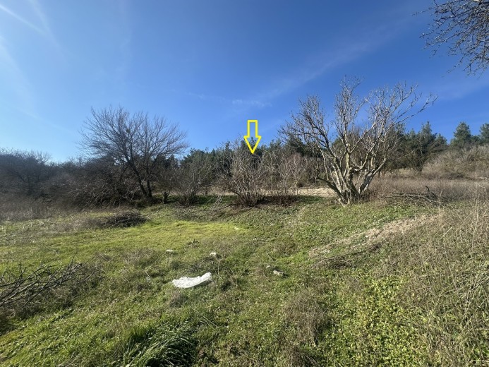 Balıkesir Altıeylül 950.00 M2 + Tarla — foto 5