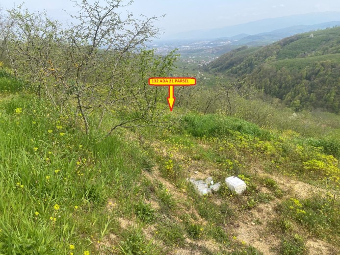 Düzce Cumayeri 12.150 M2 Muhtelif Arsa