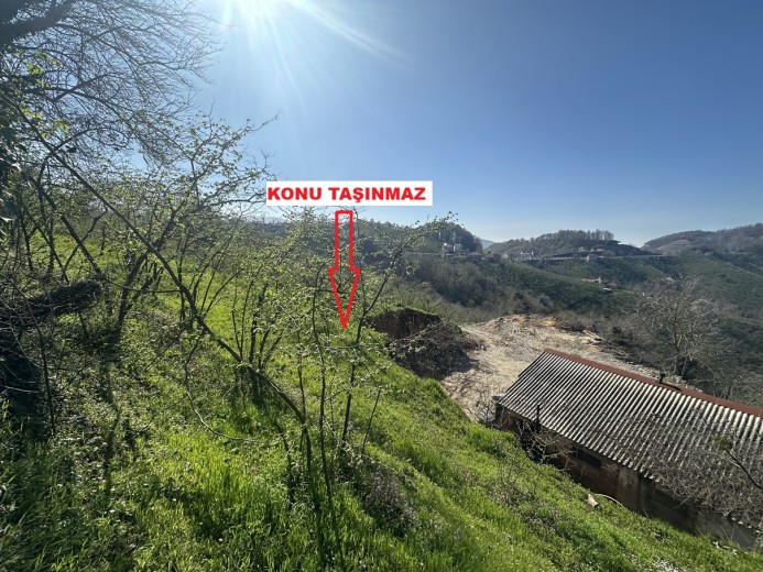 Düzce Akçakoca 14.263.94 M2 Fındıklık Bahçe — foto 2