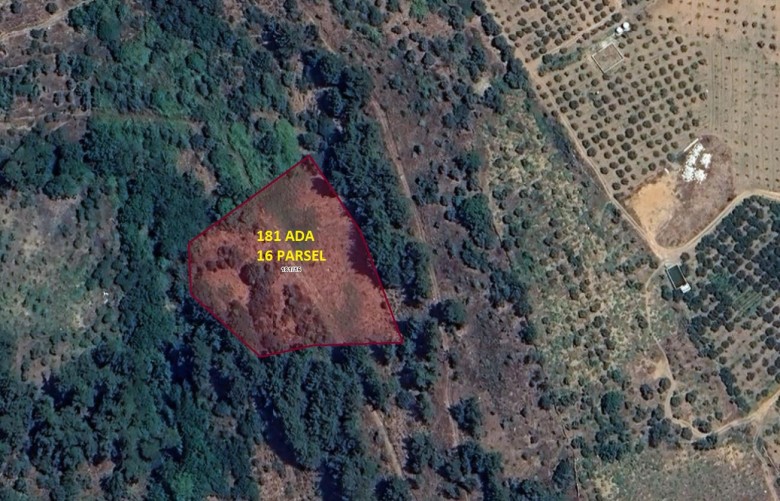 İzmir Bayındır 4050.81 M2 + Bahçe — foto 5