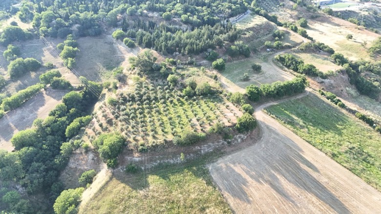 Denizli Babadağ 1.612. M2  Bağ — foto 3