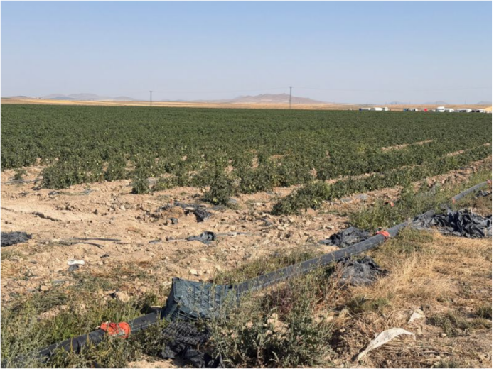 Konya Emirgazi 54.600 M2  Tarla — foto 4
