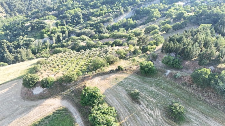 Denizli Babadağ 1.612. M2  Bağ