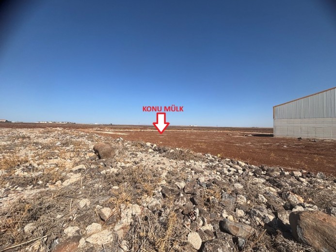 Şanlıurfa Viranşehir  M2 + Muhtelif Arsa — foto 4