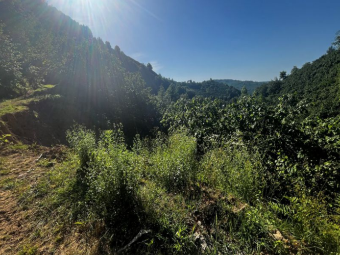 Ordu Fatsa 2211.56 M2  Bahçe — foto 4