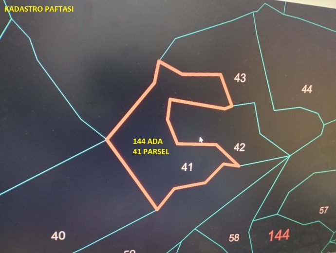 İzmir Bayındır 3352.83 M2 + Zeytinlik — foto 3