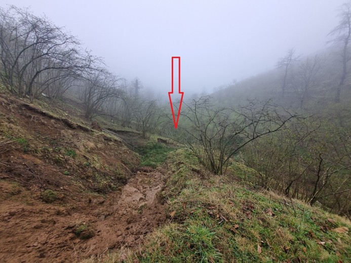 Ordu Fatsa 2211.56 M2  Bahçe