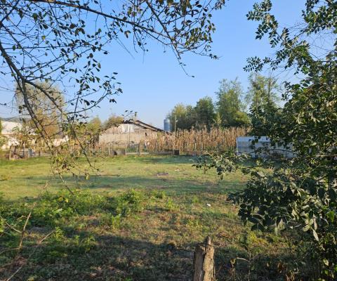 Düzce Merkez Satılık Çiftlik — foto 2