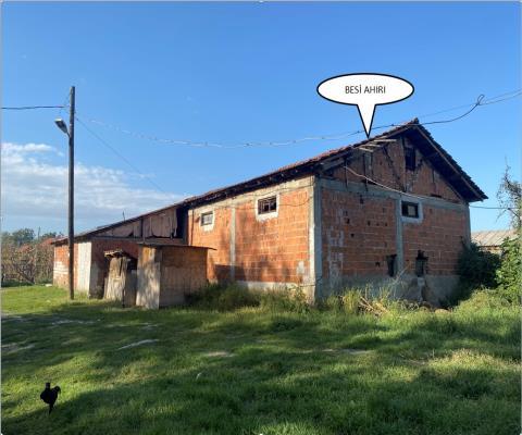 Düzce Merkez Satılık Çiftlik — foto 4