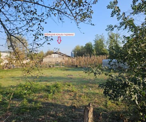 Düzce Merkez Satılık Çiftlik — foto 5