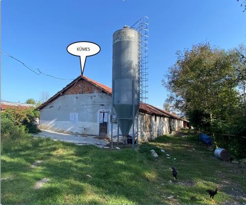 Düzce Merkez Satılık Çiftlik — foto 6