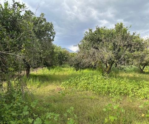 Antalya Finike Satılık Muhtelif Arsa — foto 7