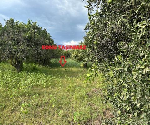 Antalya Finike Satılık Muhtelif Arsa — foto 8