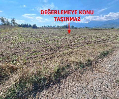 Muğla Seydikemer Satılık Tarla — foto 2