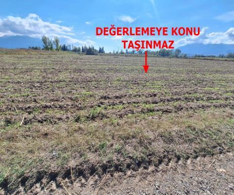 Muğla Seydikemer Satılık Tarla — foto 3