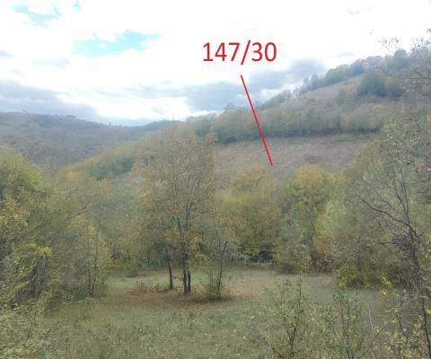 Samsun Canik Satılık Tarla — foto 3
