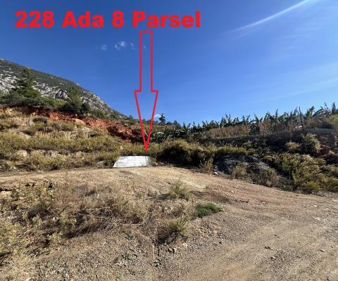 Antalya Alanya Satılık Muhtelif Arsa — foto 3