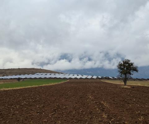 Denizli Acıpayam Satılık Tarla — foto 3