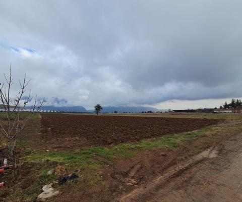 Denizli Acıpayam Satılık Tarla — foto 4