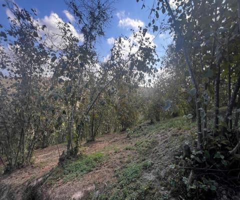 Sakarya Karasu Satılık Tarla — foto 3